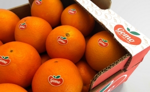 Consulta pública europeia | Materiais destinados a entrar em contacto com alimentos (MCA)