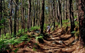 Ultra Maratona desafia atletas a correrem 300 quilómetros pelas serras algarvias