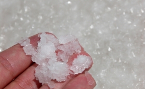 Recolha de sal em Castro Marim com aumento de produção em vista