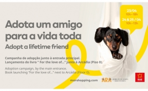 Campanha de adoção no MAR Shopping Algarve vai permitir levar um amigo de quatro patas para casa