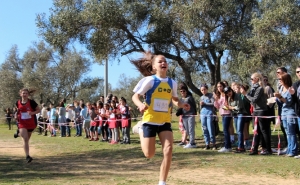 Colégio de Vilamoura organiza Corta-mato Inter-Colégios