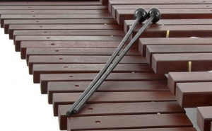 V Festival Internacional de Percussão – Cidade de Portimão