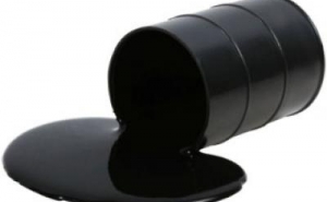 Associação espera 500 pessoas em Lisboa contra furo petrolífero em Aljezur