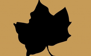 «STOUT»: EXPOSIÇÃO DE CARJÉ, MARTA ROUX E SYLVIE ANTÓNIO NO CECAL