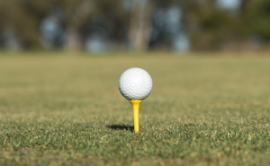 VRSA | Luxemburguesa ACO II pretende comprar o Monte Rei Golf & Country Club
