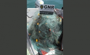 Olhão – Rede de pesca com 1000 metros apreendida