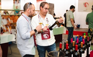 O maior evento de vinhos do Algarve 