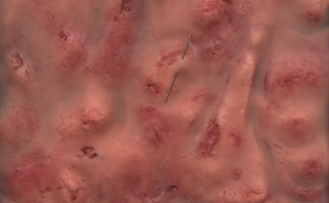 Dora Vieira inaugura «Homúnculo» no LAC com instalação sobre o corpo pós-humano