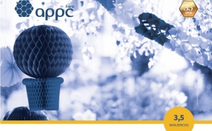 VII Arraial Solidário APPC Faro