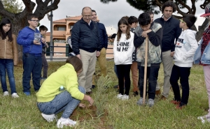 CONCELHO DE LOULÉ FICOU MAIS VERDE EM 2017
