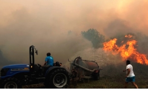 Chamas queimaram quase 28 mil hectares no Algarve