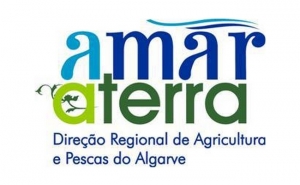 Projeto Mercados Regionais