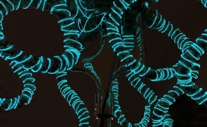 Exposição «Ariadne», de Elizabeth Almeida, inaugurada a 10 de novembro 