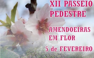 Passeio Pedestre convida a ver Amendoeiras em Flor