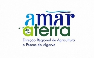 PREVENÇÃO DE ACIDENTES NO TRABALHO E NA CONDUÇÃO DE MÁQUINAS AGRÍCOLAS