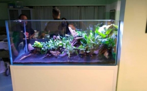 Doentes Oncológicos recebem Aquário em Portimão