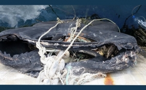 GP PCP: pergunta ao Governo sobre a necessidade de obras no Porto de Pesca de Lagos