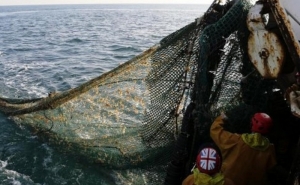 União Europeia define limite para o arrasto de fundo