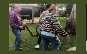 Zoo de Lagos recebe Piton reticulada apreendida   