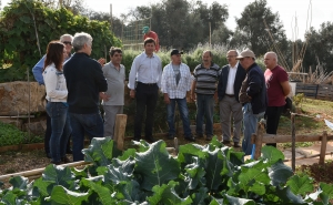 MAIS QUATRO TALHÕES ENTREGUES NAS HORTAS SOCIAIS DE LOULÉ