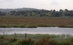 Zona do PAUL de Lagos vai ter Plano de Pormenor
