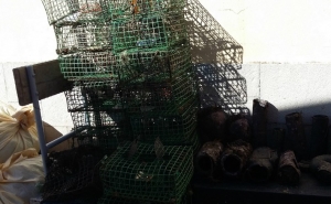 Polícia Marítima de Faro apreende artes ilegais de pesca na Ria Formosa