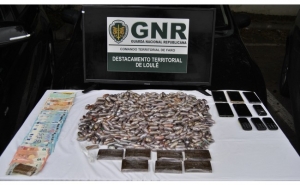 4 detidos e mais de 12 mil doses de haxixe apreendidas