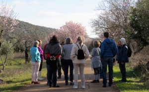 LOULÉ CRIATIVO PROPÕE PASSEIOS POR ENTRE AMENDOEIRAS EM FLOR E RECEITAS COM AMÊNDOA