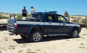 Polícia Marítima e Serviços Veterinários capturam cão perigoso na ilha de Faro
