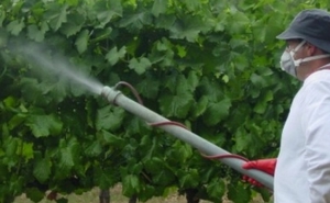 AGRICULTORES PODEM CONTINUAR A APLICAR PESTICIDAS DESDE QUE FAÇAM FORMAÇÃO ATÉ MAIO