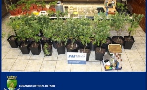 PSP DETÉM JOVEM POR TRÁFICO