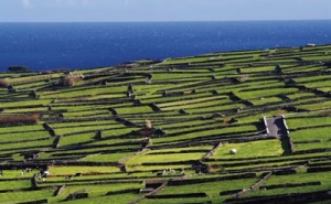 Lista de zonas agrícolas desfavorecidas publicadas hoje em Diário da República