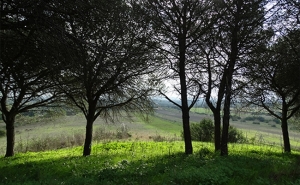 Lagos participa na Bienal de Turismo de Natureza