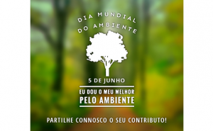 MUNICÍPIO DE ALBUFEIRA PARTILHA BOAS PRÁTICAS NO DIA MUNDIAL DO AMBIENTE