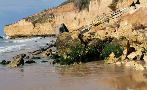 Boia cardeal dá à costa na praia Maria Luísa em Albufeira