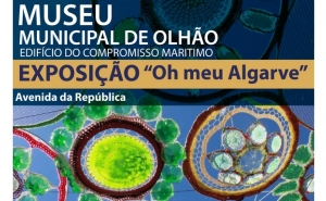 Avenida da República recebe exposição Oh meu Algarve