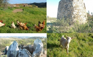 Passeio «Entre Montes e Serranias»