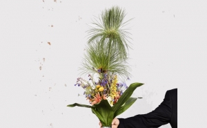 Exposição TOCHAS de Vasco Célio