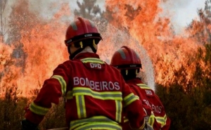 Centro Ibérico de Investigação e Combate aos Incêndios Florestais reúne em Castro Marim   
