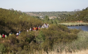 O caminho faz-se caminhando