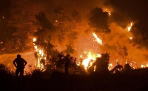 Fogo em Odemira já entrou no concelho de Monchique no Algarve