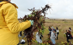 Em Portimão, Dia Mundial das Zonas Húmidas não é para «chorões» 