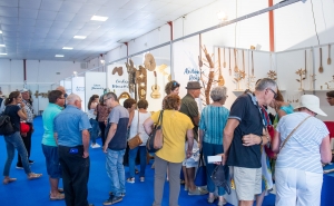 Alentejo: Faceco com atividades para toda a família entre 22 e 24 de julho em S. Teotónio