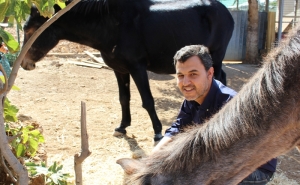 Deputado André Silva acusa DGAV de não atuar