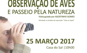 Castro Marim convida à Observação de Aves e Passeio pela Natureza - Viva a Experiência - 