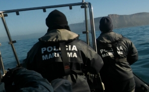 Arte de pesca com 1200 metros de comprimento apreendida na Costa Vicentina