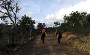 CAMINHO DE SANTIAGO PORTUGUÊS CENTRAL TEM RECONHECIDAS AS ETAPAS FARO - ALMODÔVAR  