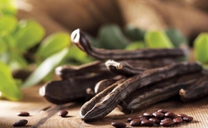 Seminário sobre a Alfarroba