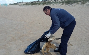 Autoridade Marítima contribui para a salubridade das praias do Algarve