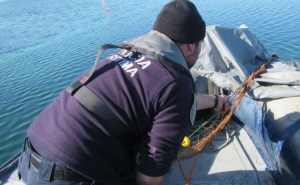 Rede com 2100 metros apreendida na ria Formosa